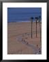 Santa Monica Bike Path, California by Nik Wheeler Limited Edition Print