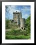 Blarney Castle, County Cork, Munster, Republic Of Ireland, Europe by Harding Robert Limited Edition Print