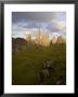 The Old Man Of Storr, The Storr, Isle Of Skye, Inner Hebrides, West Coast, Scotland by Gavin Hellier Limited Edition Print