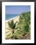 Coconut Palms And Beach, Kovalam, Kerala State, India, Asia by Gavin Hellier Limited Edition Print