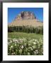 Logan Pass, Glacier National Park, Montana, United States Of America, North America by James Hager Limited Edition Print