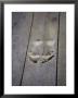 Footprints Carved In Wooden Floor Of Buddhist Temple Entrance, China by David Evans Limited Edition Print