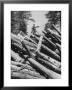 Man Lifting Logs Out Of A Lumber Pile by J. R. Eyerman Limited Edition Print