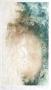 La Maree Viii by Dorothea Tanning Limited Edition Print