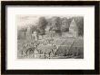 Preparing For The Immolation Of A Hindu Widow by J. Redaway Limited Edition Pricing Art Print