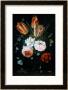Tulips And Roses In A Glass Vase by Jan Van Kessel Limited Edition Print