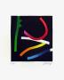 Suite Fluorescente Ii by Bertrand Dorny Limited Edition Print
