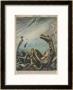 At Loch Ness Scotland Echo- Soundings Suggest The Presence Of A Large Marine Creature by Walter Molini Limited Edition Print