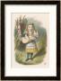 Alice And The Pig Alice Carrying A Baby Pig by John Tenniel Limited Edition Pricing Art Print