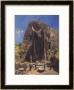 Buddha Siddhartha Gautama A Statue Of Buddha In Ceylon by Allen Stewart Limited Edition Print