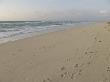 Foot Prints Along The Beach Early Morning, Miami Beach by Oote Boe Limited Edition Pricing Art Print