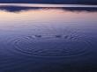 Reflection And Water Ripples At Sunset by Oote Boe Limited Edition Print