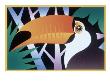 Toucan In Natural Habitat by Hugh Whyte Limited Edition Print