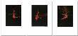 Turnende Set 3 Blatt by Norbert Tadeusz Limited Edition Pricing Art Print