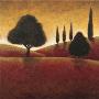 Tuscan Trees And Hills I by Dan Angel Limited Edition Pricing Art Print