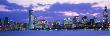 Panorama Of The Chicago Skyline by Mark Segal Limited Edition Print