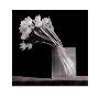 Tulip, C.1986 by Robert Mapplethorpe Limited Edition Pricing Art Print