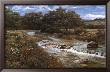 Comal Creek by Glowka Greg Limited Edition Pricing Art Print