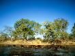 A Herd Of Hippos Lounge In The Water by Beverly Joubert Limited Edition Print