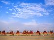 Camel Ride On Beach, Broome, Australia by John Banagan Limited Edition Print