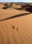 Peringueys Sidewinding Adder On Dunes, Namib Desert by Michael Fogden Limited Edition Pricing Art Print