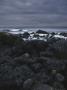 Seaweed Covered Rocks With Gray Sky, Magnolia, Ma by Gareth Rockliffe Limited Edition Print