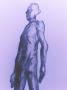 Human Body by Fogstock Llc Limited Edition Print