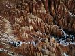 Bryce Canyon Rock Needles, Bryce Canyon National Park, Utah, Usa by Jim Wark Limited Edition Print