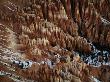 Bryce Canyon Rock Needles, Bryce Canyon National Park, Utah, Usa by Jim Wark Limited Edition Pricing Art Print