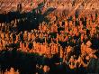 Eroded Sandstone Pinnacles At Sunrise, Bryce Canyon National Park, United States Of America by Chris Mellor Limited Edition Print