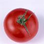 Tomato Cut Out by Jan Ceravolo Limited Edition Print