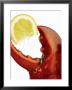 A Wedge Of Lemon In A Lobster Claw by Peter Howard Smith Limited Edition Pricing Art Print