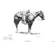 An E3 Ranch Horse by Bill Owen Limited Edition Pricing Art Print