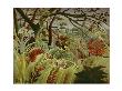 Tropical Storm With Tiger by Henri Rousseau Limited Edition Print