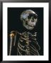 Lake Turkana Boy, National Museums, Nairobi, Kenya by Kenneth Garrett Limited Edition Print