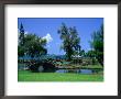 A Wooden Bridge In The Japanese Style In The Liliuokalani Gardens, Hilo, Hawaii, Usa by Ann Cecil Limited Edition Print