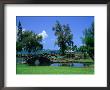 A Wooden Bridge In The Japanese Style In The Liliuokalani Gardens, Hilo, Hawaii, Usa by Ann Cecil Limited Edition Pricing Art Print