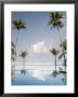 Palm Trees And Swimming Pool, Ko Chang, Kho Chang Island, Thailand by Gavriel Jecan Limited Edition Print