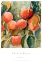 Good Harvest by Marilyn Wolfe Limited Edition Pricing Art Print