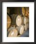 French Oak Barrels Of Wine At Midnight Cellars Winery In Paso Robles, California by Rich Reid Limited Edition Print