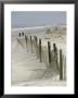 Snow Fence Stretches Across A Dune In An Attempt To Curb Erosion by Skip Brown Limited Edition Print