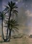 Palms At Marrakesh by Henrie Chouanard Limited Edition Print
