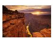 Grand Canyon From Toroweap Point by Ron Watts Limited Edition Print