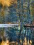 Autumn Reflections by Nejdet Duzen Limited Edition Print