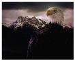 Eagle Mountain by Steve Hunziker Limited Edition Pricing Art Print