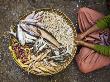 Woman With Basket Of Fish In Outdoor Fish Market by Scott Stulberg Limited Edition Print