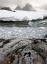 Stormy Evening Ashore On An Offshore Island, Antarctic Peninsula, Antarctica, Polar Regions by Adam Burton Limited Edition Print