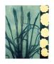 Indigo Grass by Mary Margaret Briggs Limited Edition Print