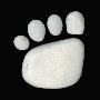 White Stones Arranged Like A Paw Print by Josie Iselin Limited Edition Print