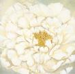 White Shimmer Ii by Olivia Long Limited Edition Pricing Art Print